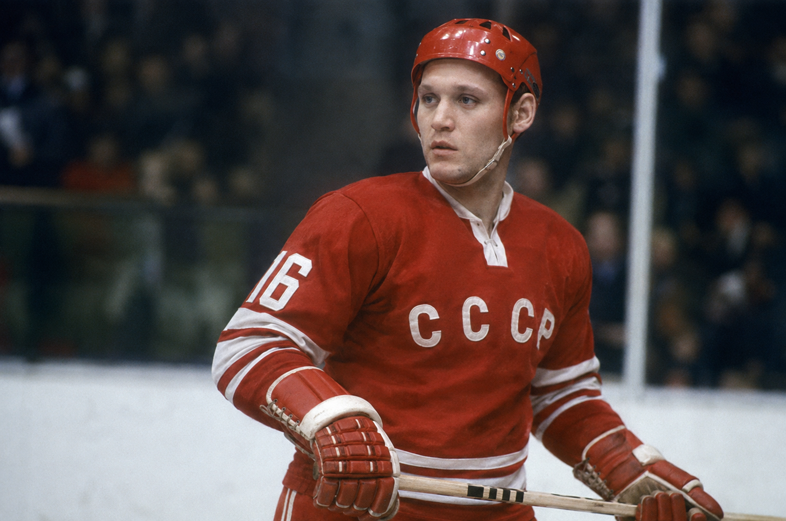 Владимир Петров — великий спорщик «ВВП»